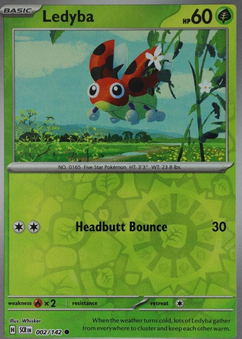 Ledyba #2