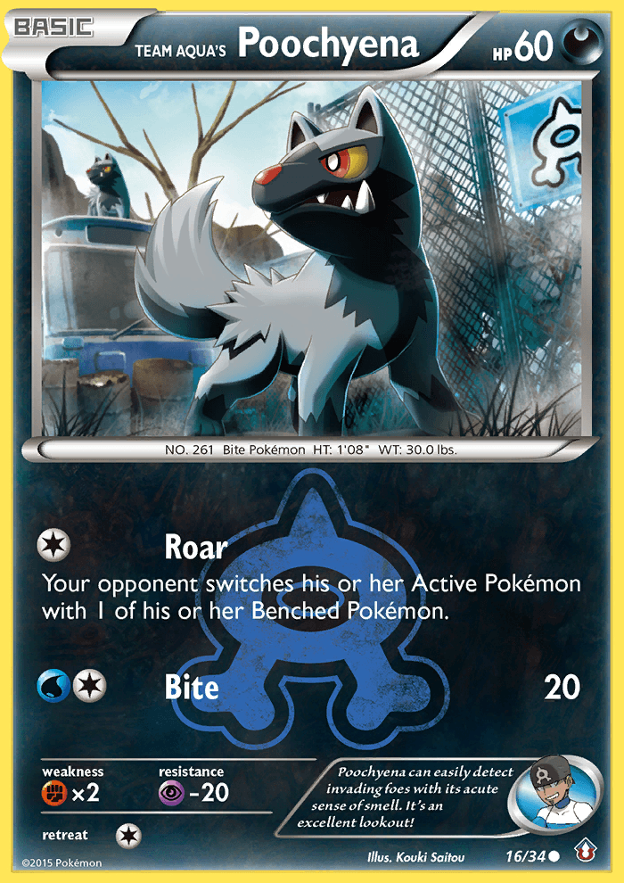 Team Aqua's Poochyena #16