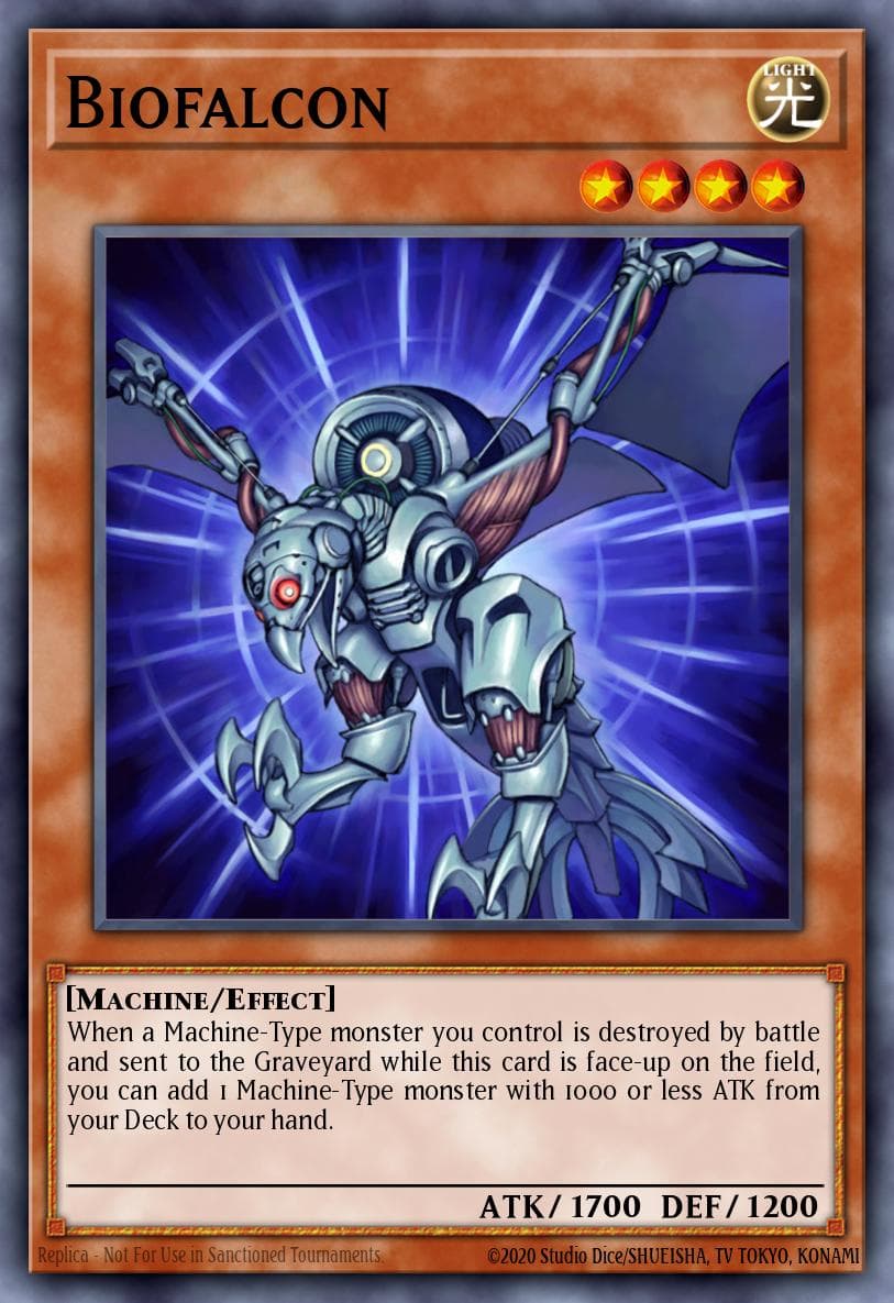Biofalcon 2010 Yu-Gi-Oh!