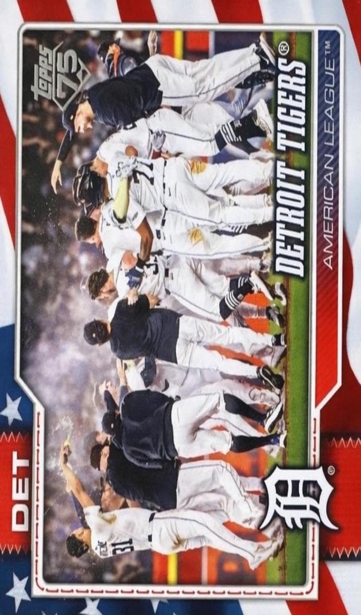 Detroit Tigers Team Card trading card