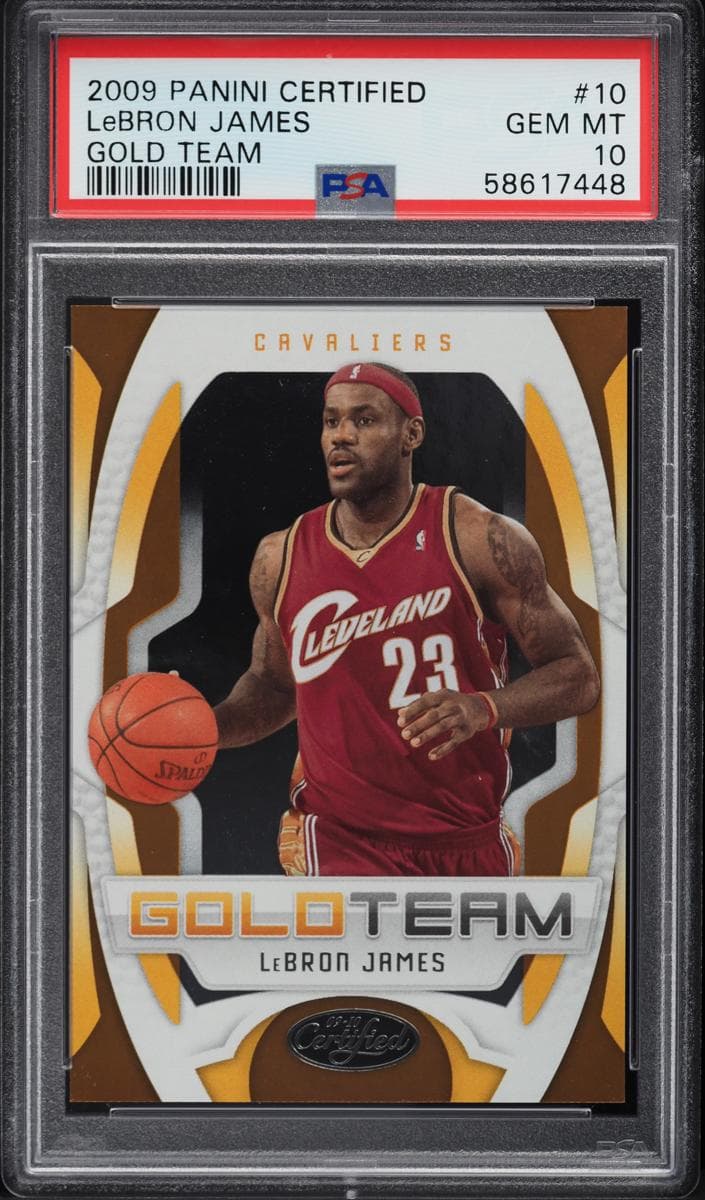 LeBron James 2009 panini