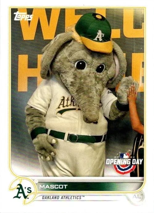 Stomper trading card