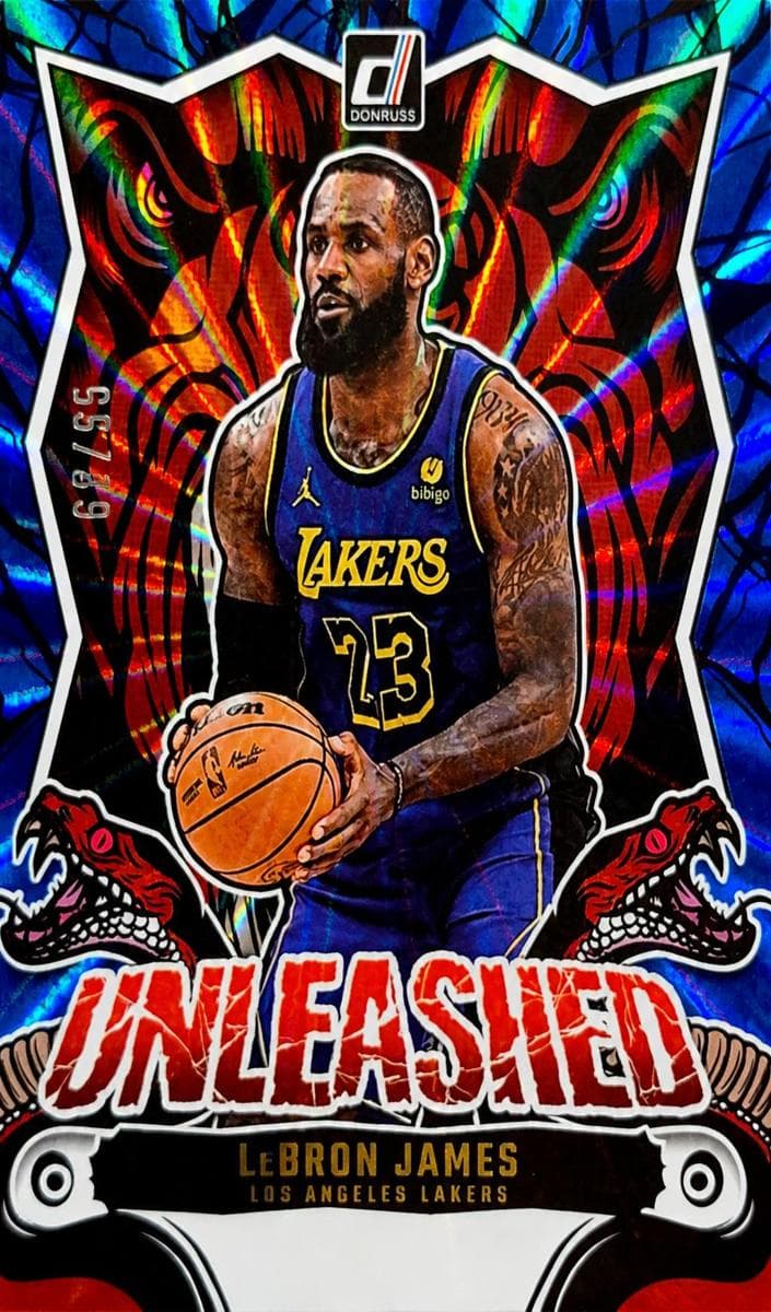 LeBron James #14