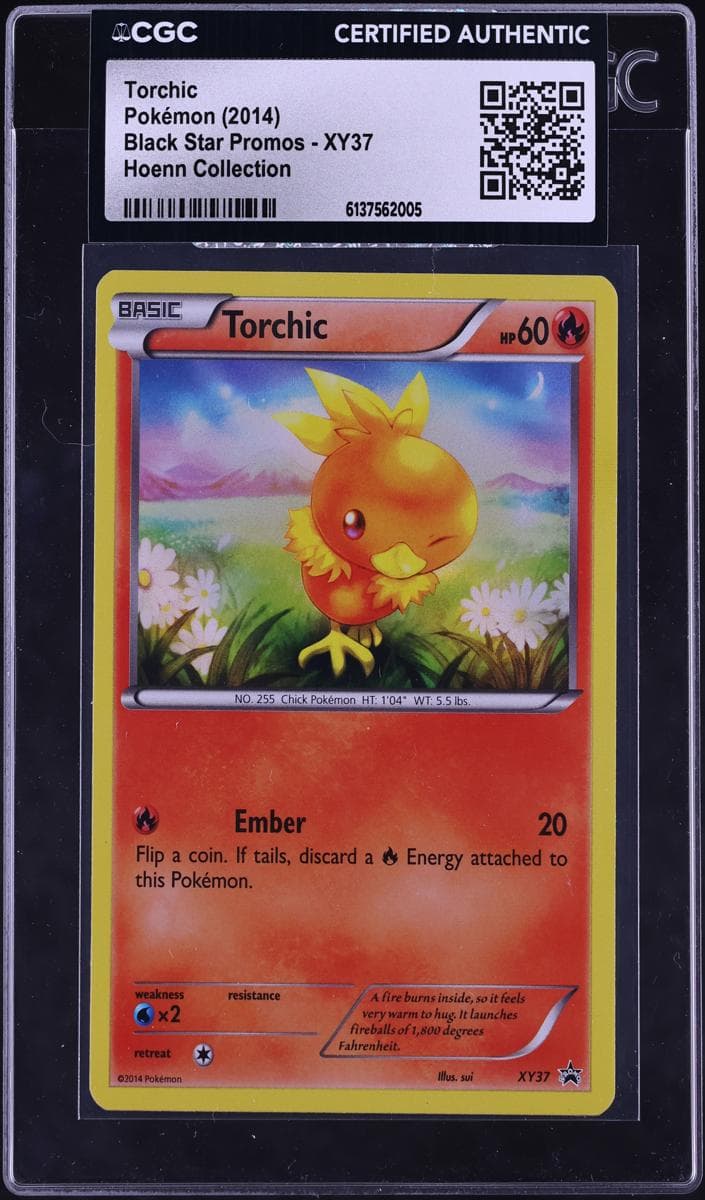Torchic #xy37