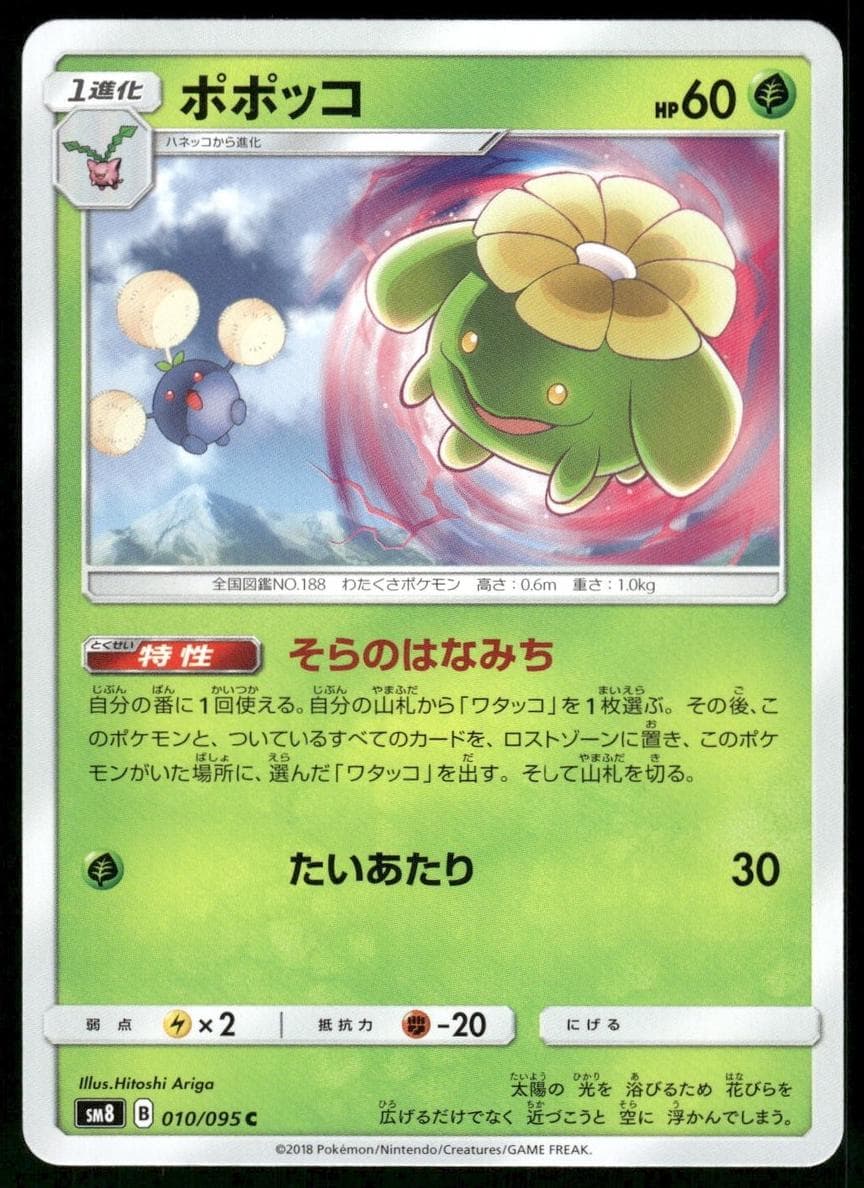 Skiploom #5
