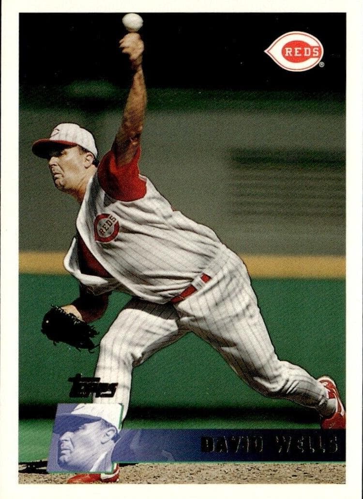 David Wells #311