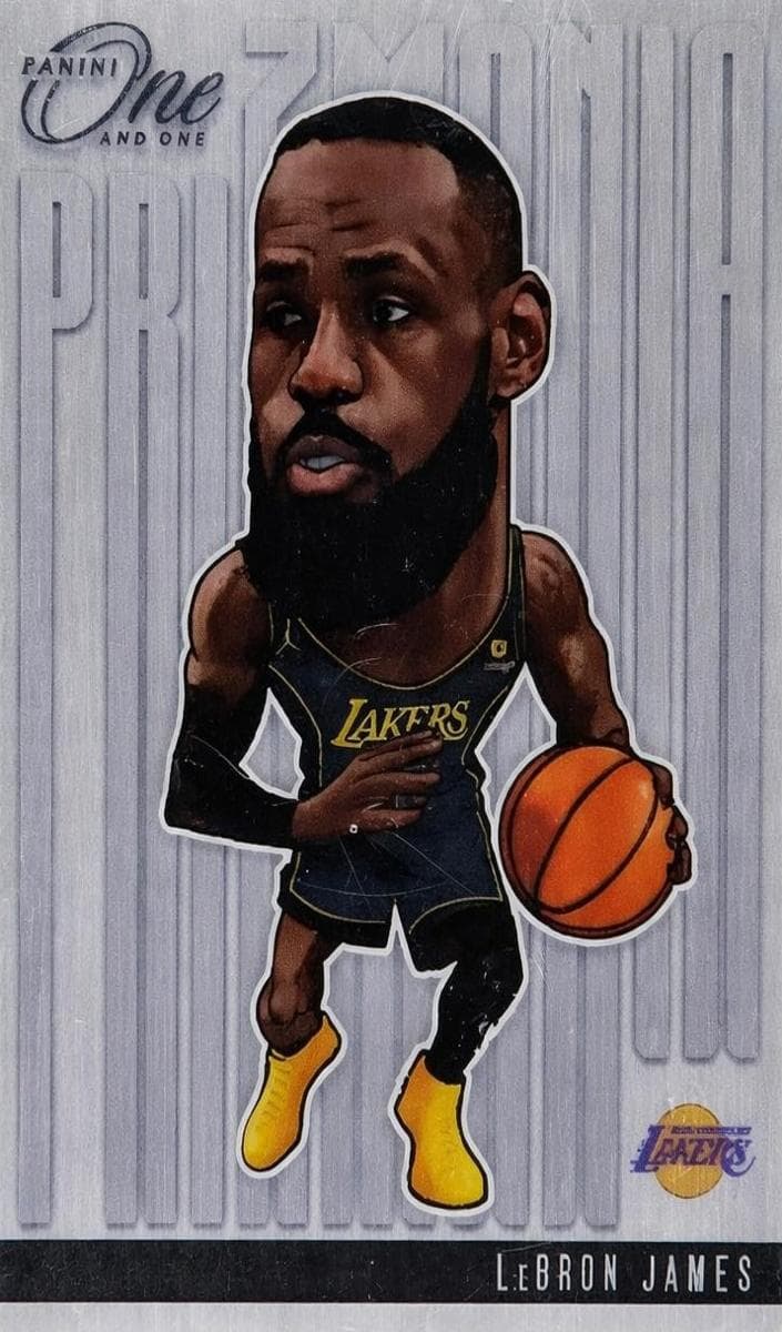 LeBron James 2024 panini Panini One and One