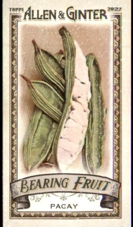 Pacay 2022 topps Topps Allen & Ginter
