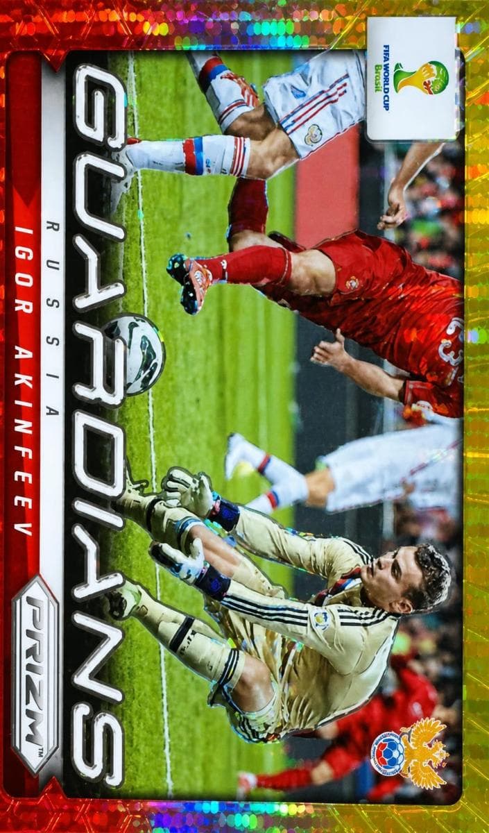 Igor Akinfeev #20