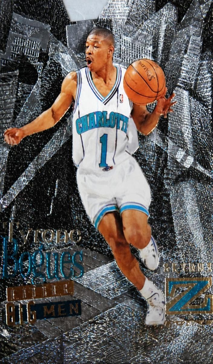 Alonzo Mourning 1996 skybox