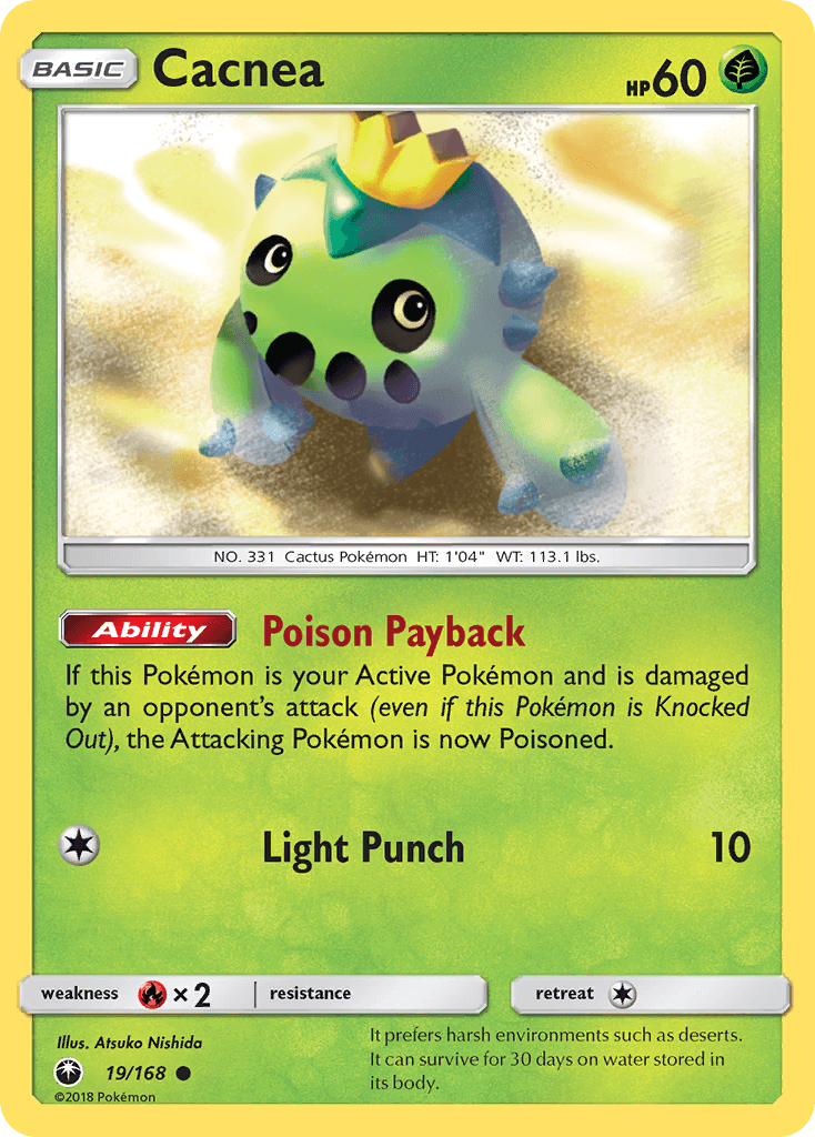 Cacnea #19