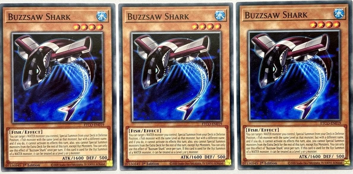 Buzzsaw Shark #ETCO-EN019