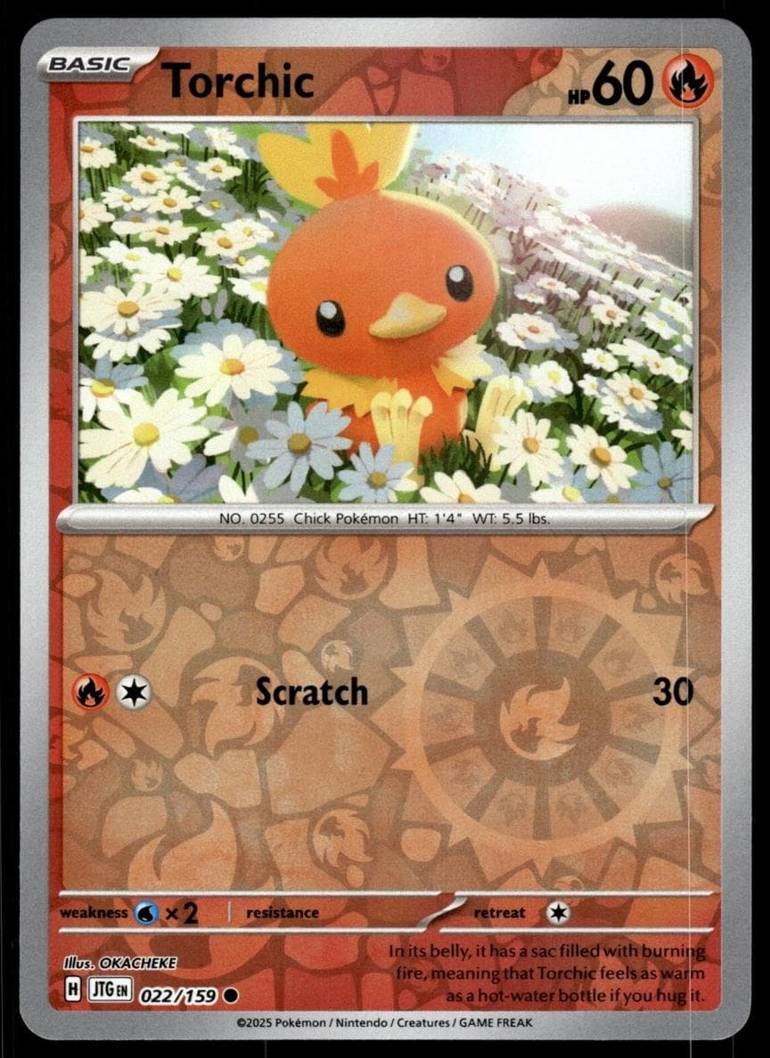Torchic #22
