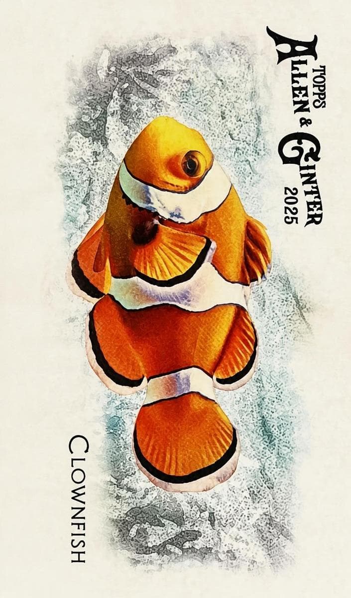 Clownfish 2025 topps Allen & Ginter