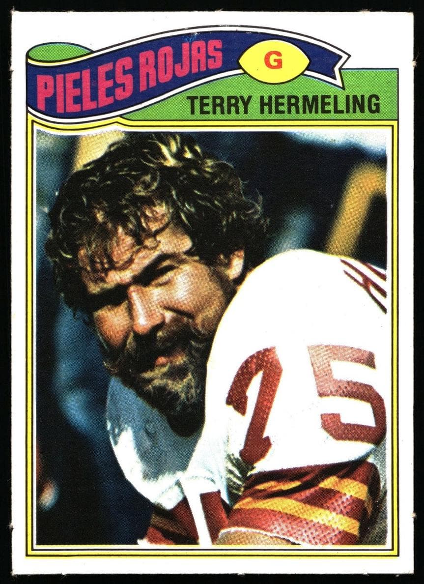 Terry Hermeling #523