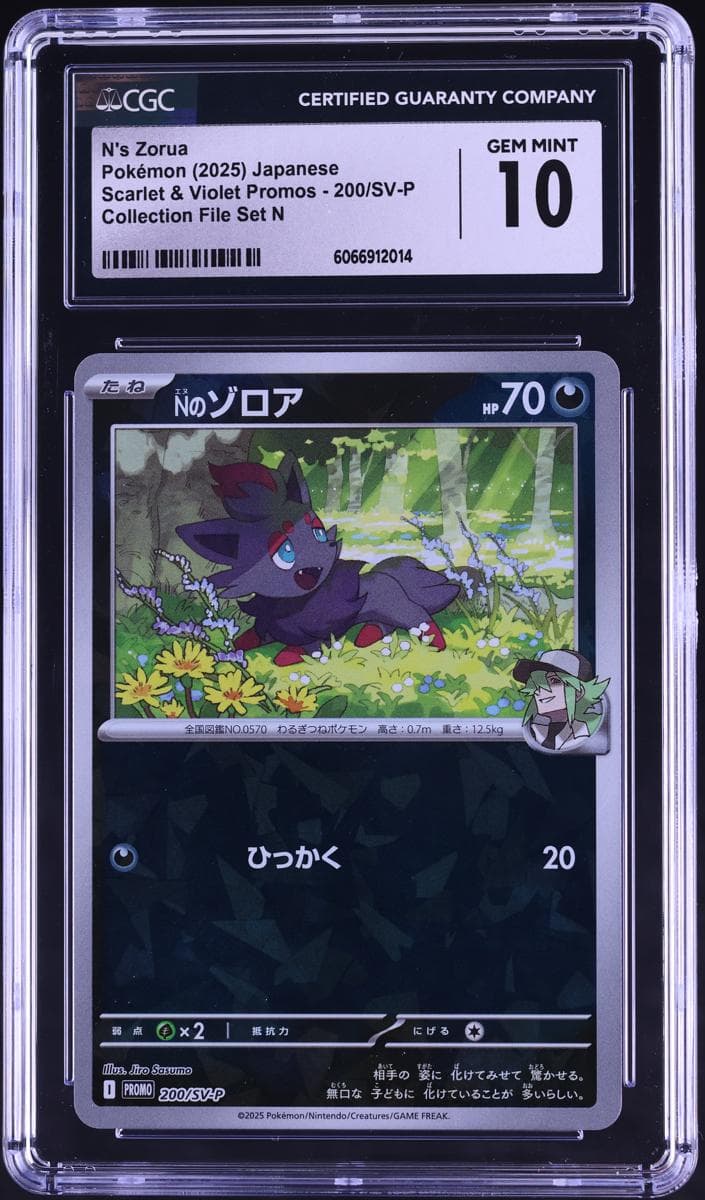 N's Zorua #200