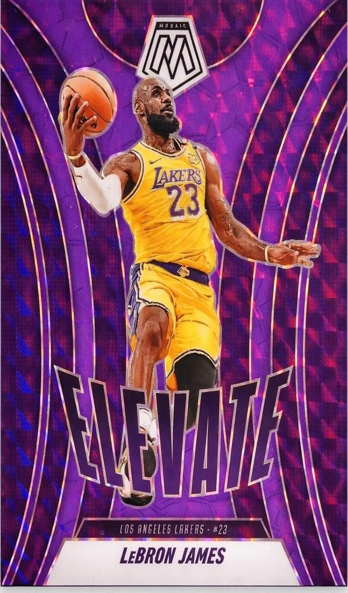 LeBron James 2024 panini Panini Mosaic