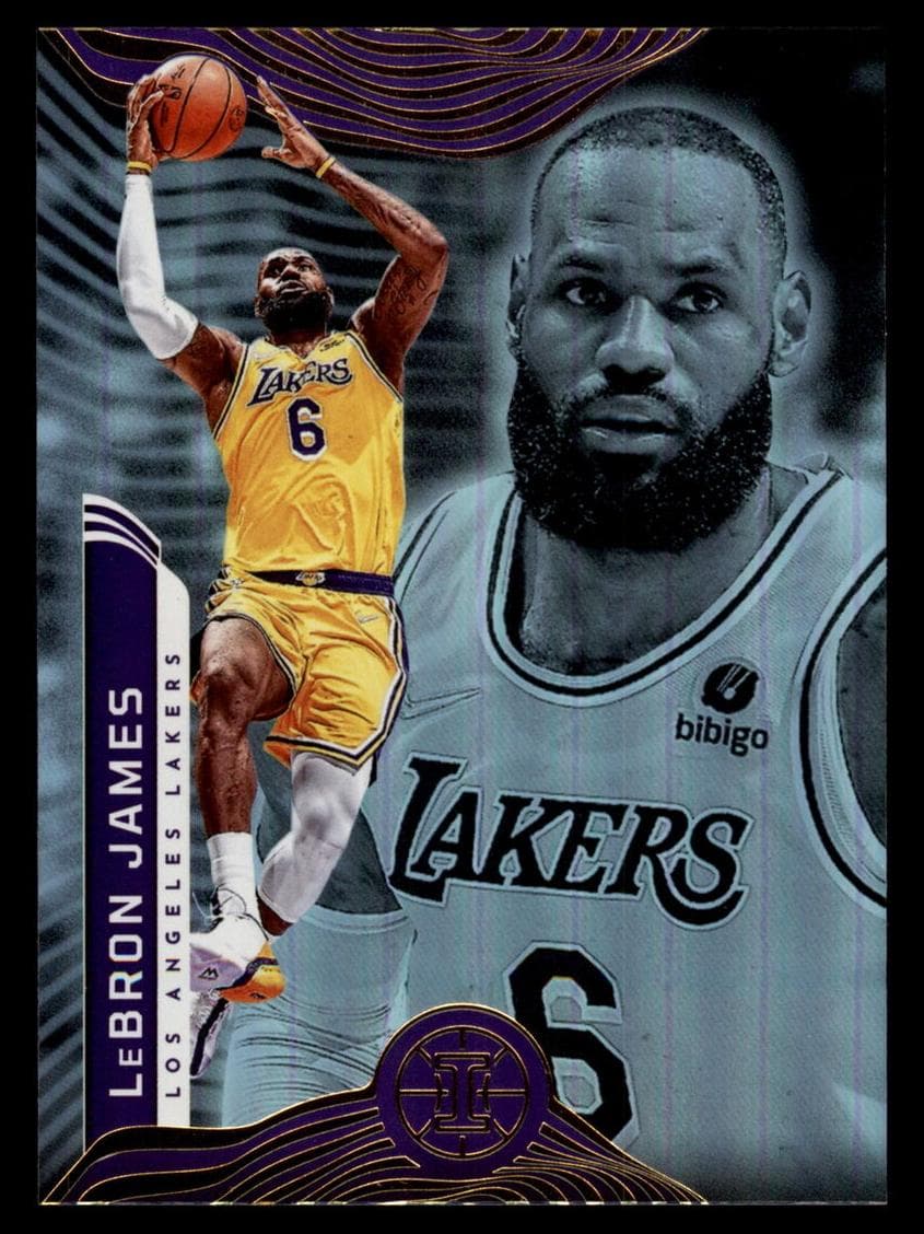 LeBron James #96