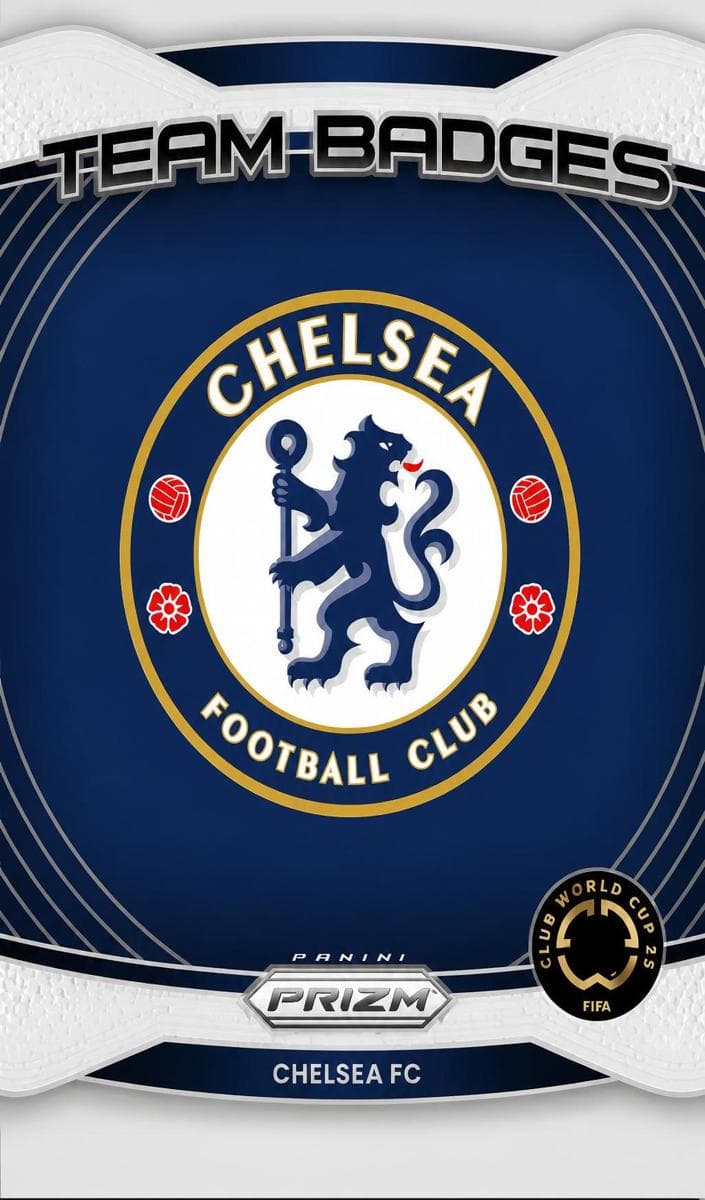 Team Badge 2025 panini