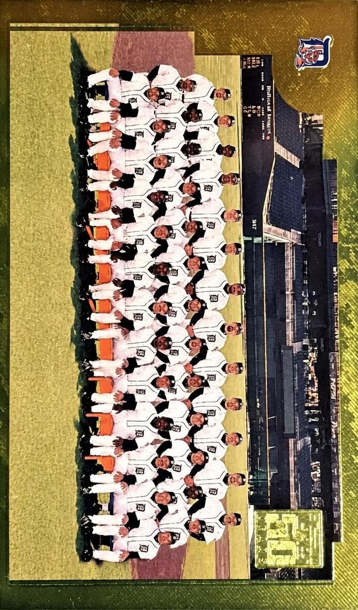 Detroit Tigers #762