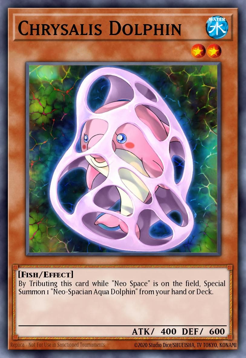 Chrysalis Dolphin #DP03-EN008