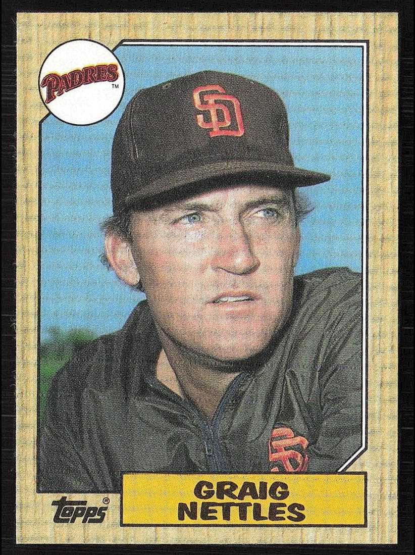 Graig Nettles #205
