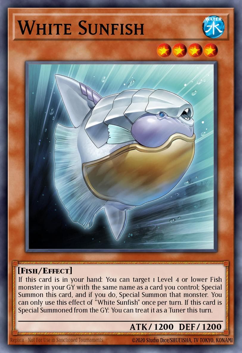 White Sunfish #PHNI-JP006