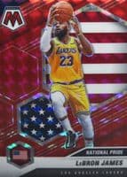 LeBron James #247