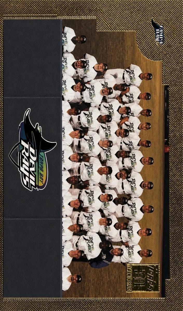 Tampa Bay Devil Rays #779