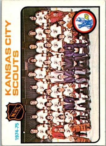 Scouts Team #88