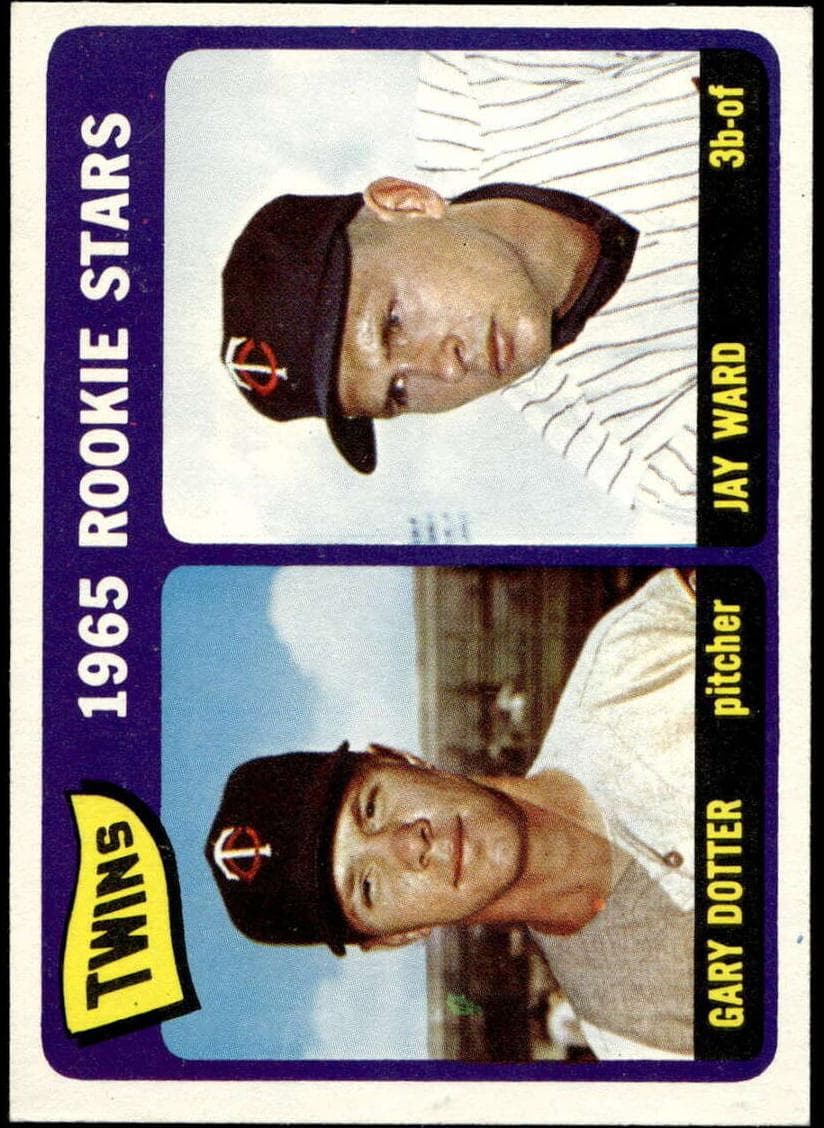 Twins Rookies #421