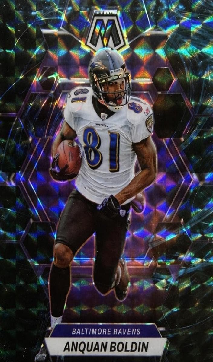 Anquan Boldin #18