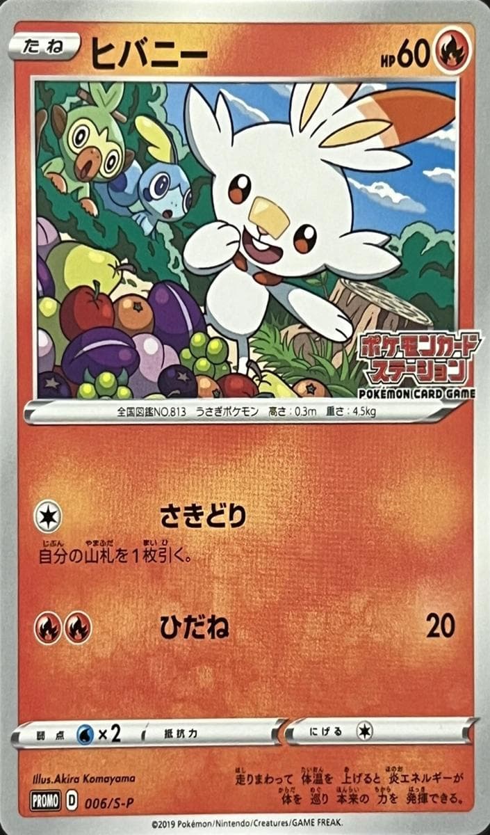 Scorbunny #6