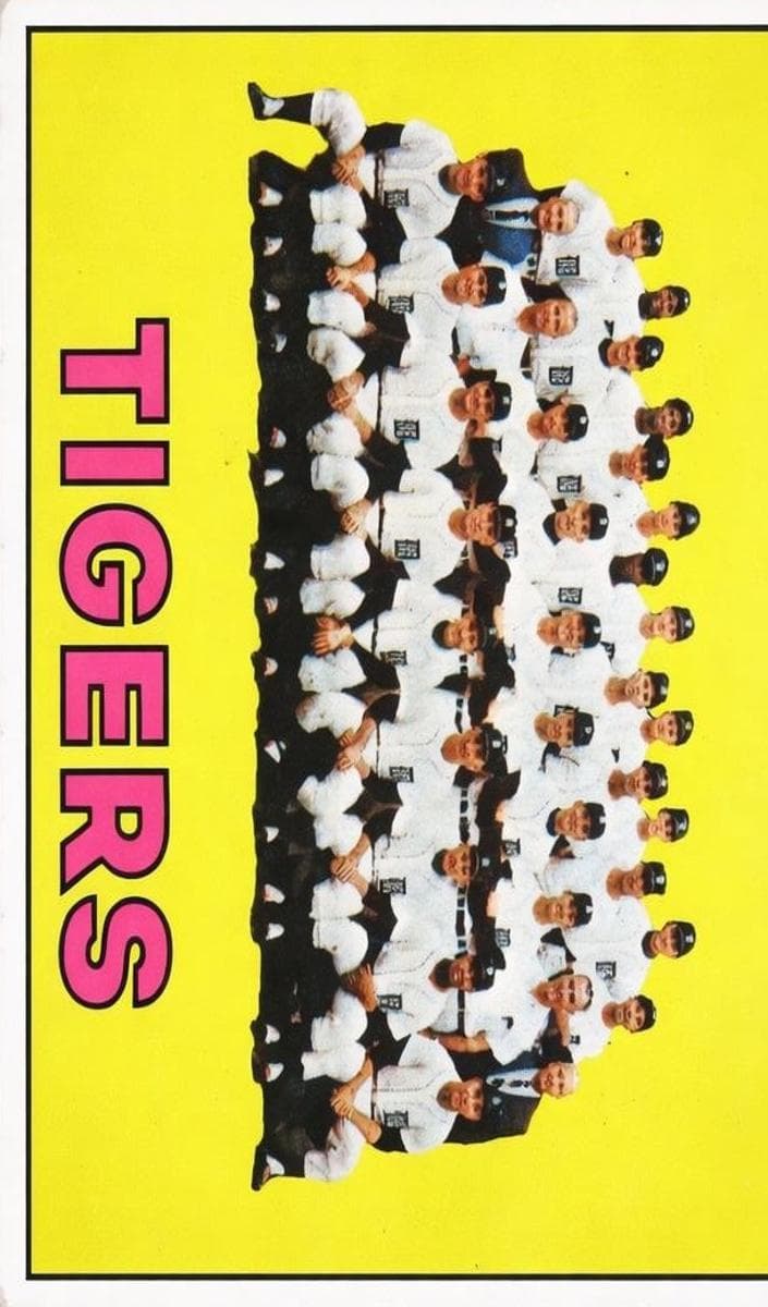Detroit Tigers #378