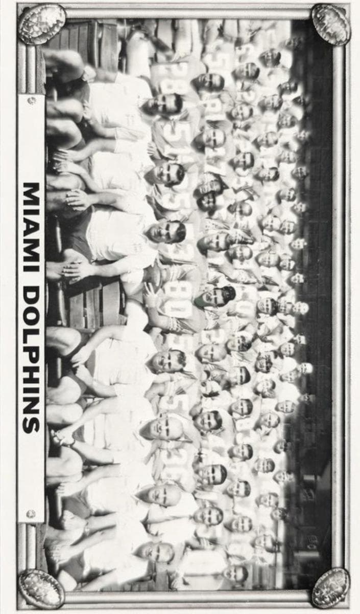 Miami Dolphins #4