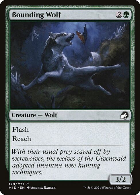 #170