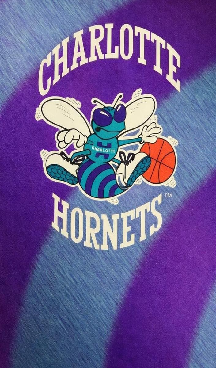 Charlotte Hornets #393