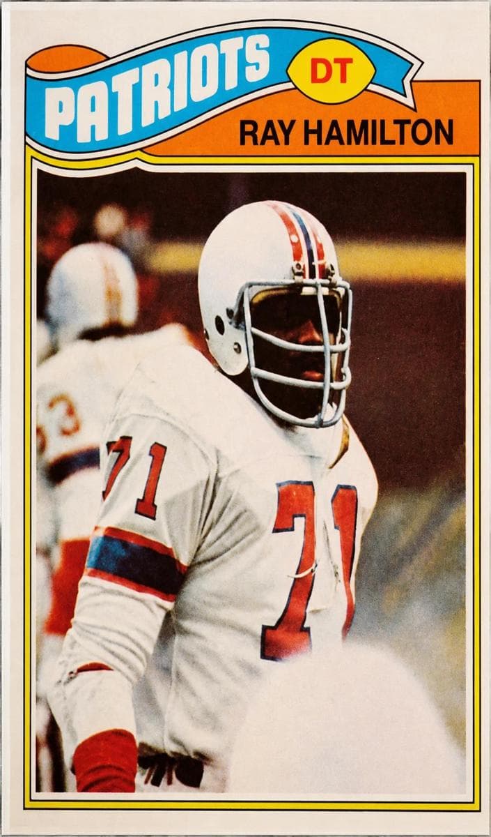 Ray Hamilton #334