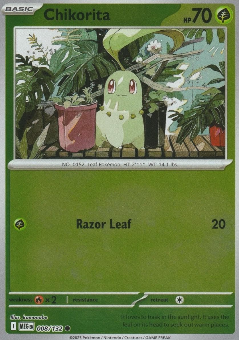 Chikorita #8