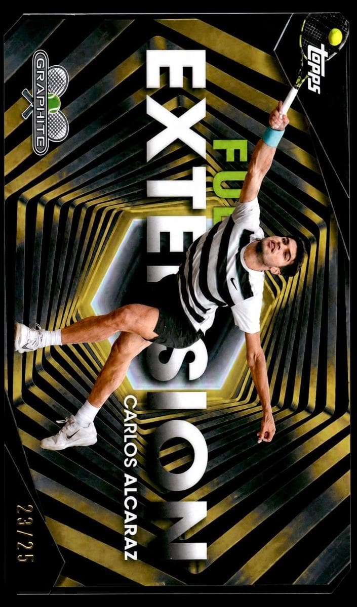 Carlos Alcaraz #fe-10