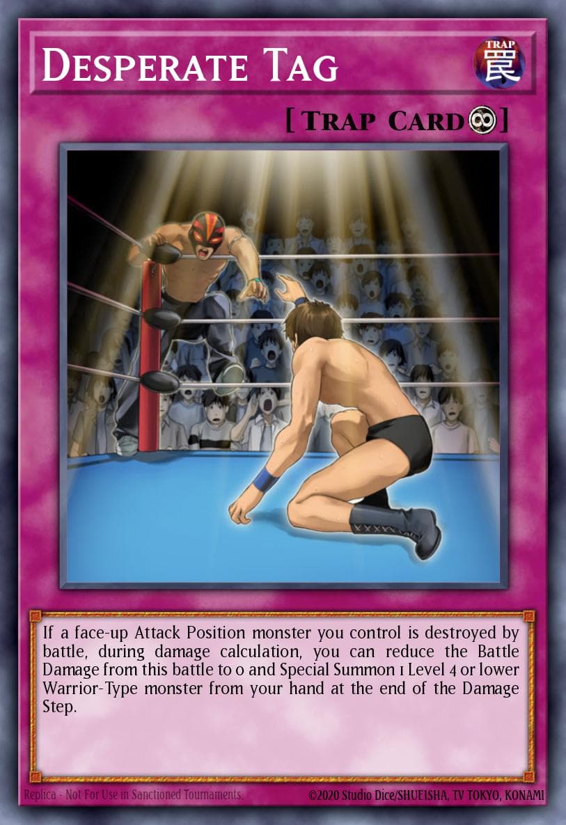 Desperate Tag 2011 Yu-Gi-Oh! Duelist Pack: Yusei 3