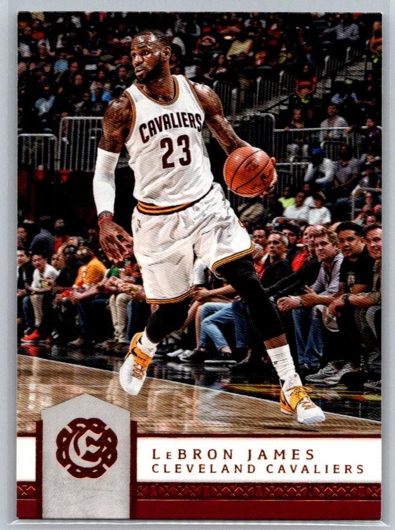 LeBron James #31