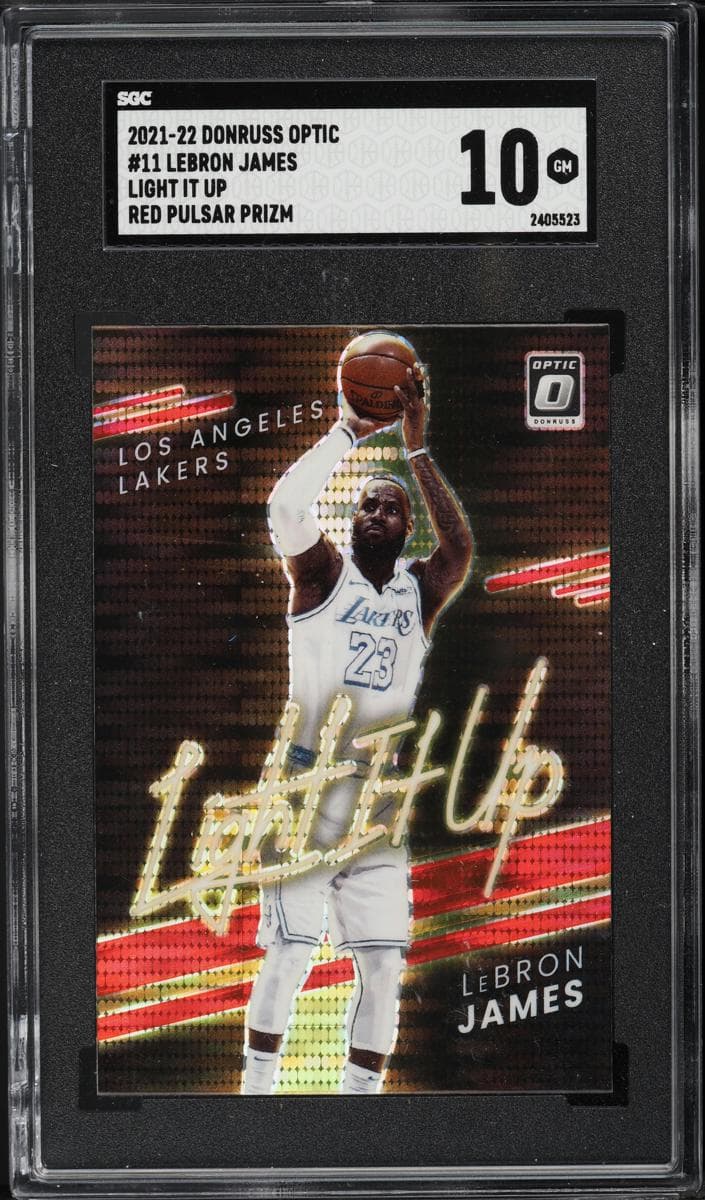 LeBron James #11