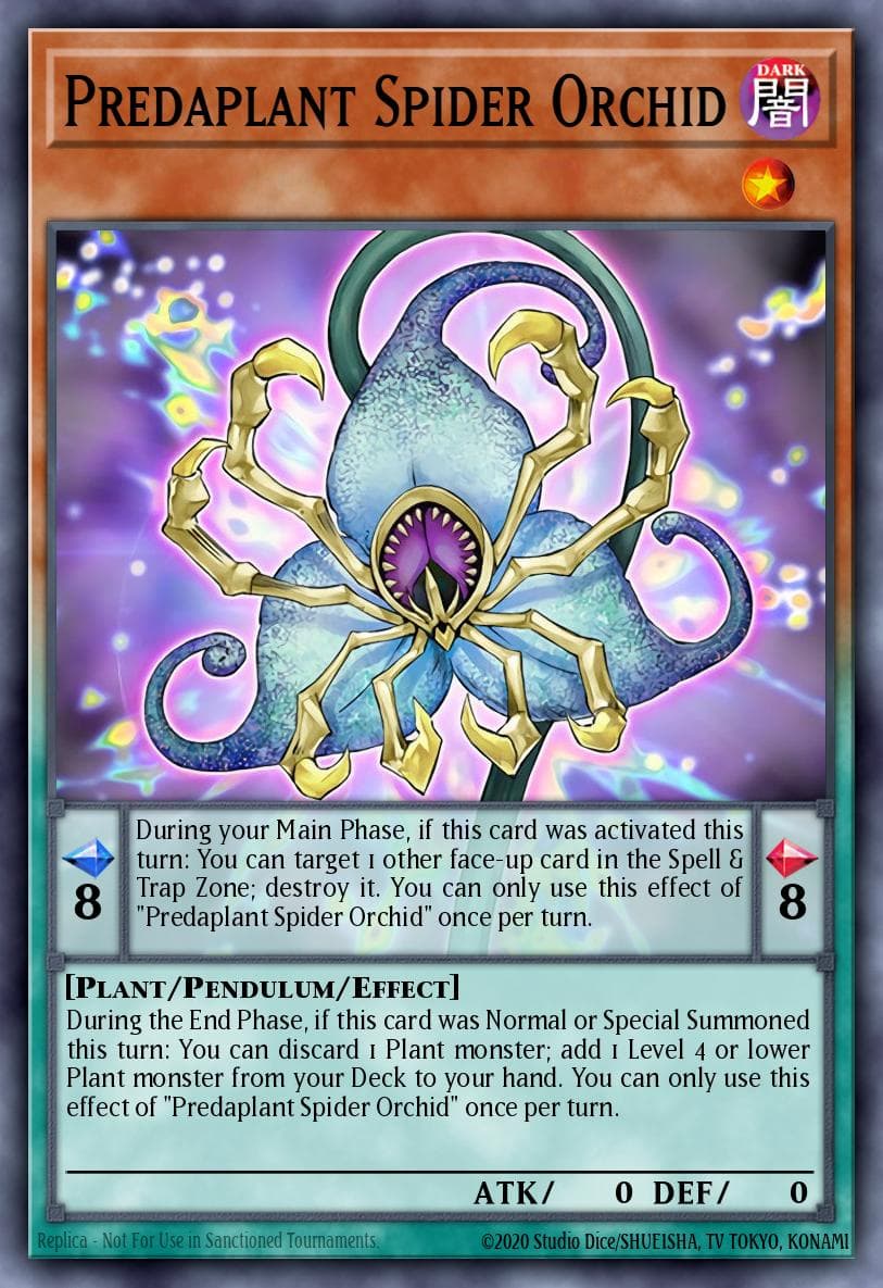 Predaplant Spider Orchid #DUPO-EN035