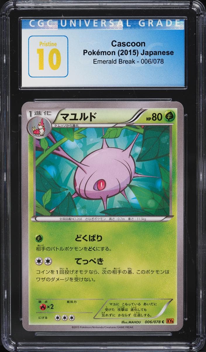 Cascoon #6