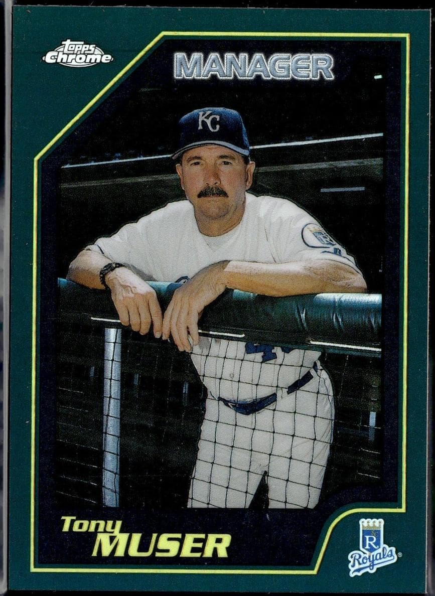 #262
