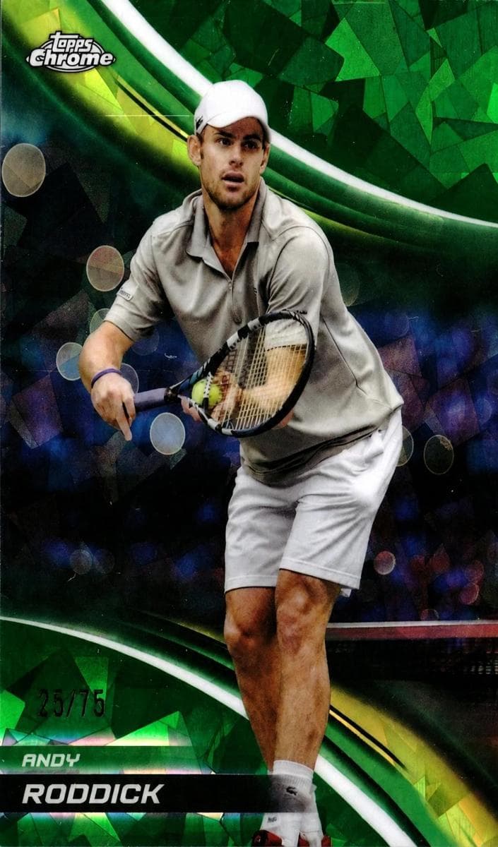 Andy Roddick #219
