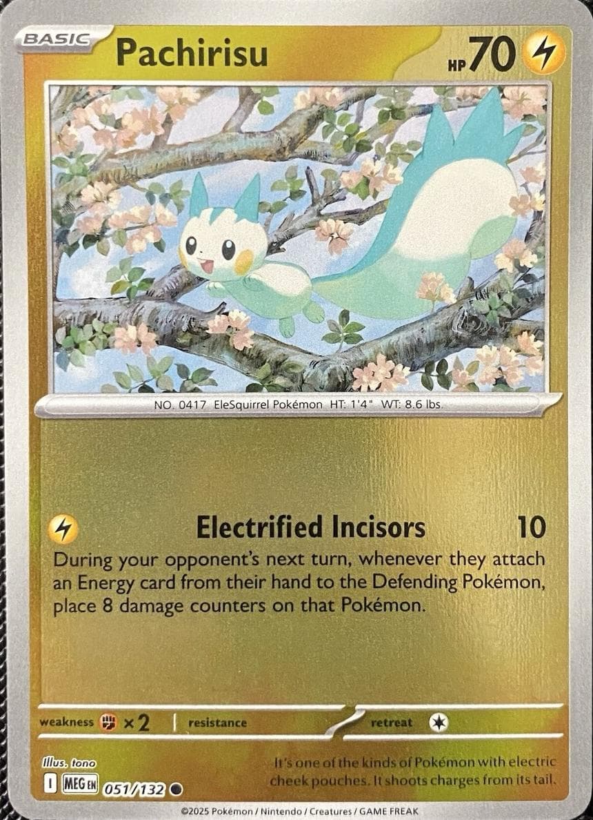 Pachirisu trading card