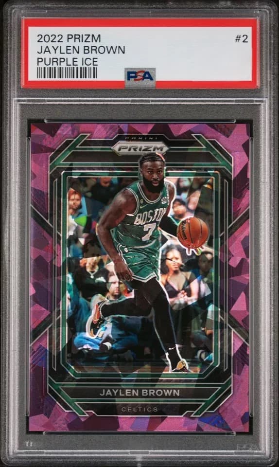 Jaylen Brown 2022 panini Panini Prizm