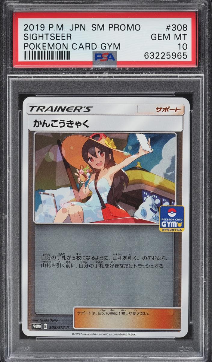Sightseer #308